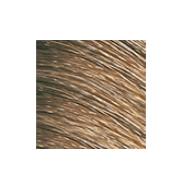 Coloration permanente Color Perfect 5N