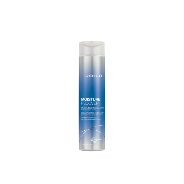 Shampoing hydratant Moisture Recovery 300 ml