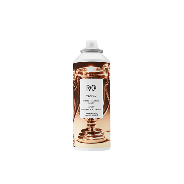 Spray brillance & texture TROPHY 198 ml