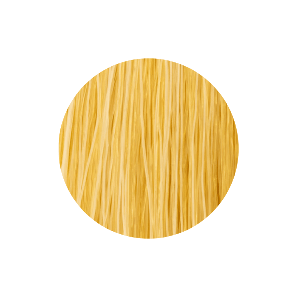 Pigment intensifiant couleur INcolor Doré