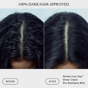 Brume shampoing sec Sheer Clean Perfect hair Day