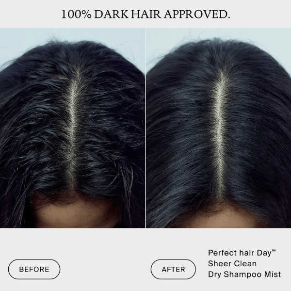 Brume shampoing sec Sheer Clean Perfect hair Day
