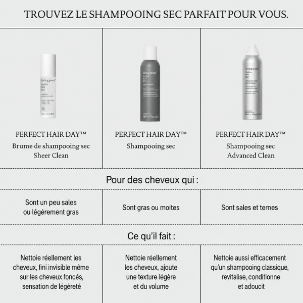 Brume shampoing sec Sheer Clean Perfect hair Day