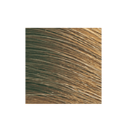 Coloration permanente Color Perfect - Wella 6G