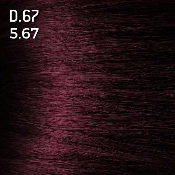 Coloration permanente Coloration 5.67