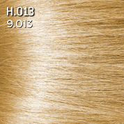 Coloration permanente Coloration 9.013