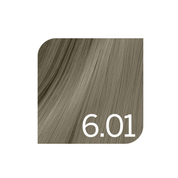 Coloration permanente froids Colorsmetique Revlonissimo 6.01