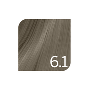Coloration permanente froids Colorsmetique Revlonissimo 6.1