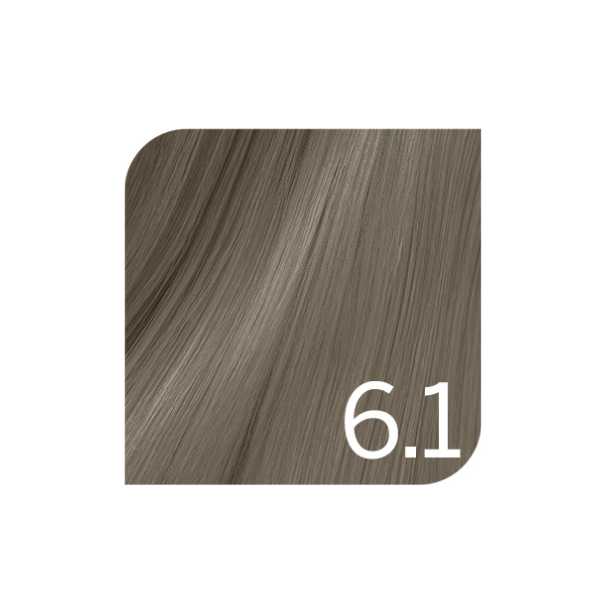 Coloration permanente froids Colorsmetique Revlonissimo 6.1