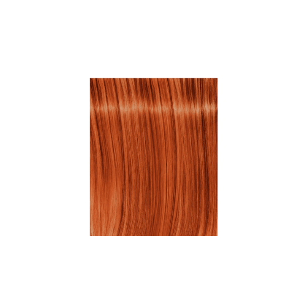 Coloration permanente Igora Royal Fashion Lights - Schwarzkopf L-77
