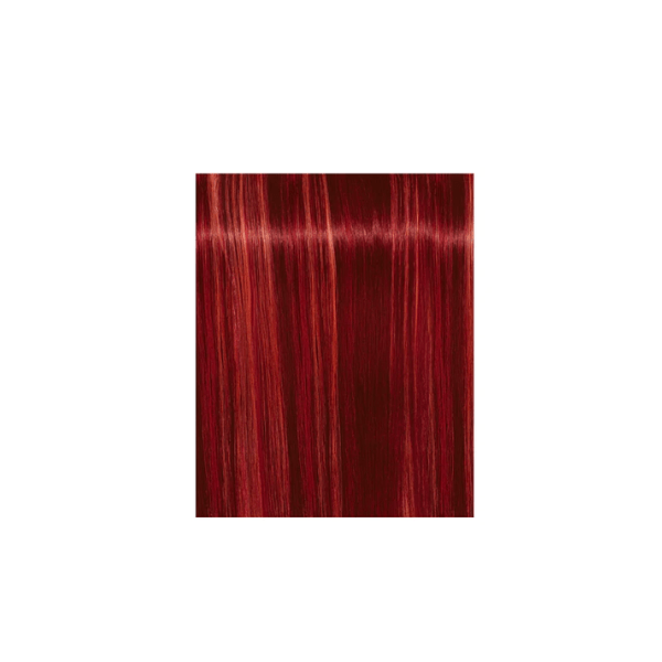 Coloration permanente Igora Royal Fashion Lights - Schwarzkopf L-88