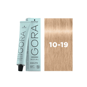 Coloration permanente Igora Royal Highlifts 10-19