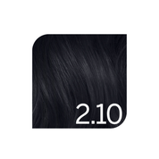 Coloration permanente naturels Colorsmetique Revlonissimo 2.10