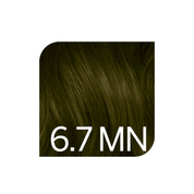 Coloration permanente naturels Colorsmetique Revlonissimo 6.7mn