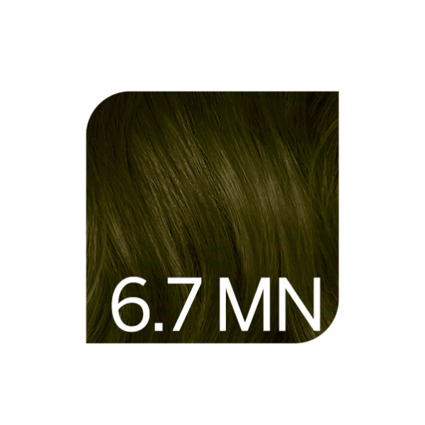 Coloration permanente naturels Colorsmetique Revlonissimo 6.7mn