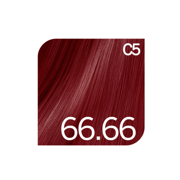 Coloration permanente rouges Colorsmetique Revlonissimo 66.66