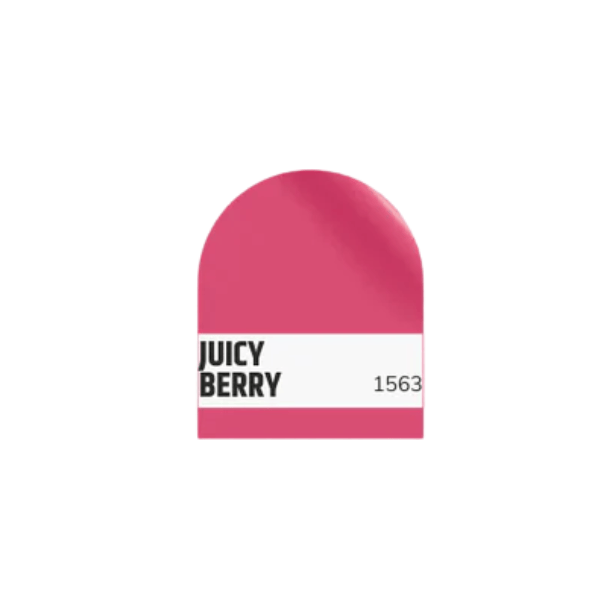 Lip Gloss Juicy Berry 1563
