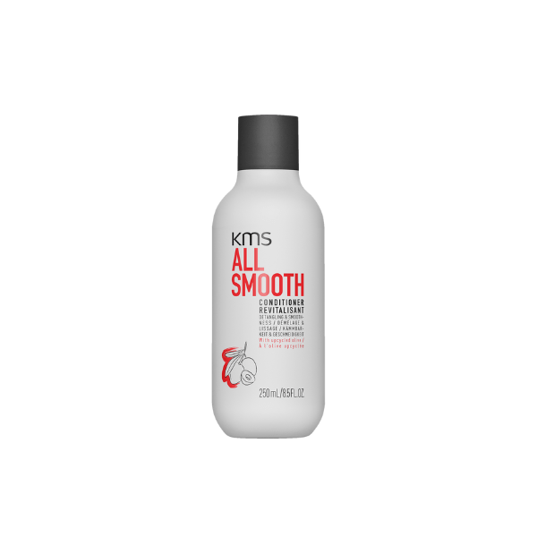 Revitalisant lissant All Smooth 300 ml