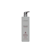Revitalisant Silver Brightening Healing ColorCare - L'ANZA Litre