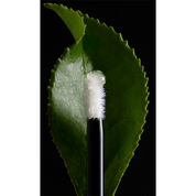 Sérum épaississant pour sourcils Invati Brow 5 ml
