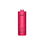 Shampoing protège couleur The Protector Litre