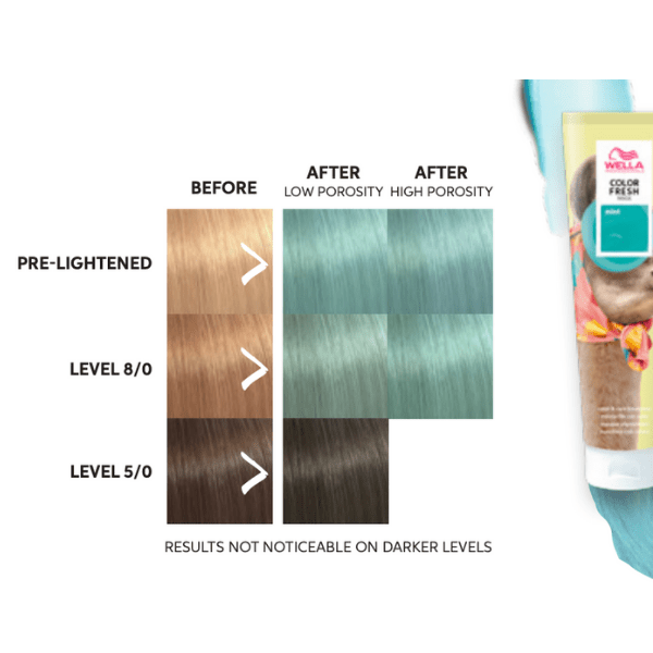 Masque Mint Bold Color Fresh Wella
